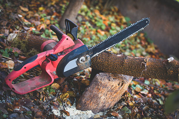  Snoqualmie, WA Tree Care Pros